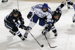 开云APP-当黄蜂刺穿华南虎，一场虚拟对决背后的篮球文化密码